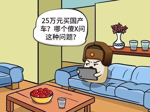 如果你有25万元，你会买国产车吗？