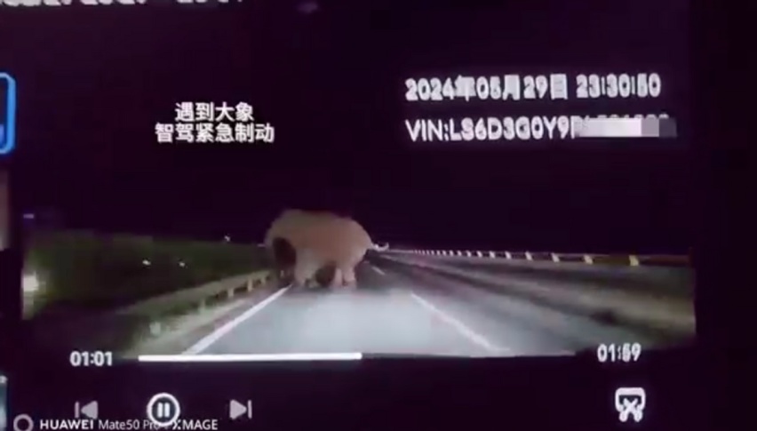 阿维塔让迈巴赫也羡慕不已？救命神车价值千金！