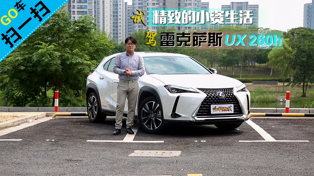 ��GO��ɨһɨ�����µ�С������ �Լ��׿���˹UX 260h