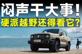 他强任他强，坦克300赢在哪里？