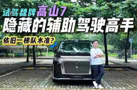 实力大于名气？抢先试驾魏牌高山7，辅助驾驶依旧一梯队水平？