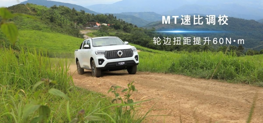 满足西南用户专属需求 长城炮再添定制版车型