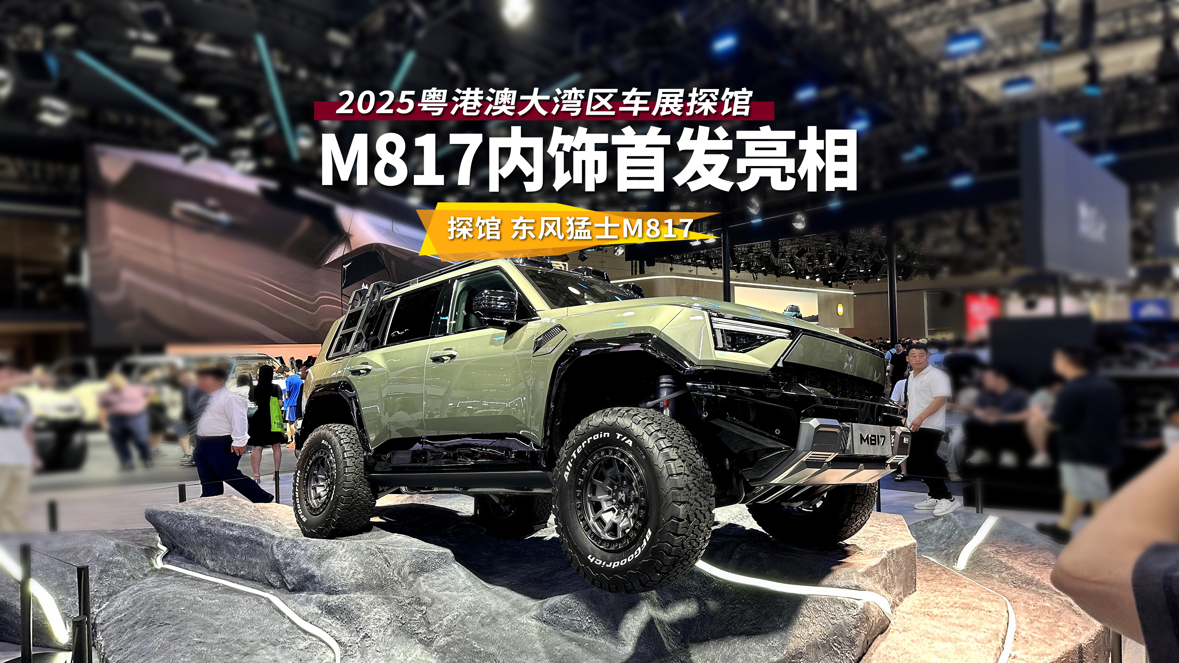 �ȹ��������ԿƼ���������ʿM817�����׷�����