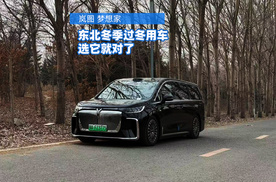 东北冬季用车首选，我推荐岚图梦想家