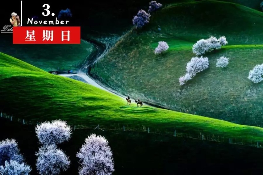 昨夜今晨 世界都发生了什么 11月3号新闻简报