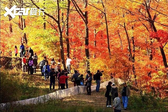 这座中国唯一省市同名的城市，因一条铁路改变命运...