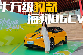 重磅新车解读！比亚迪海豹06EV竞争力分析，看完你会买吗
