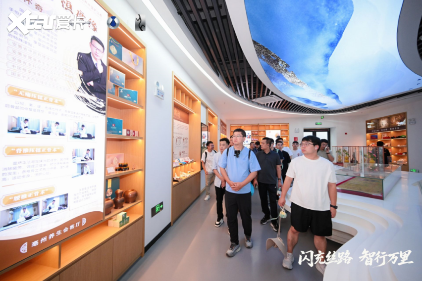 闪充丝路,智行万里——比亚迪护航海上新丝路