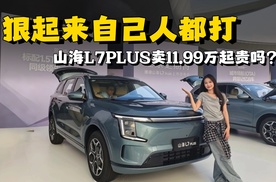 狠起来自己人都打，山海L7PLUS卖11.99万起贵吗？