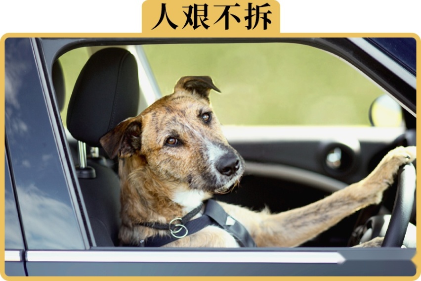 为什么有些人开车到家后，坐在车里不回家