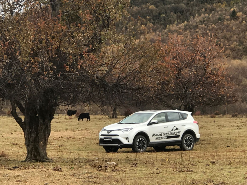 激情与性价比，RAV4荣放给你想要的