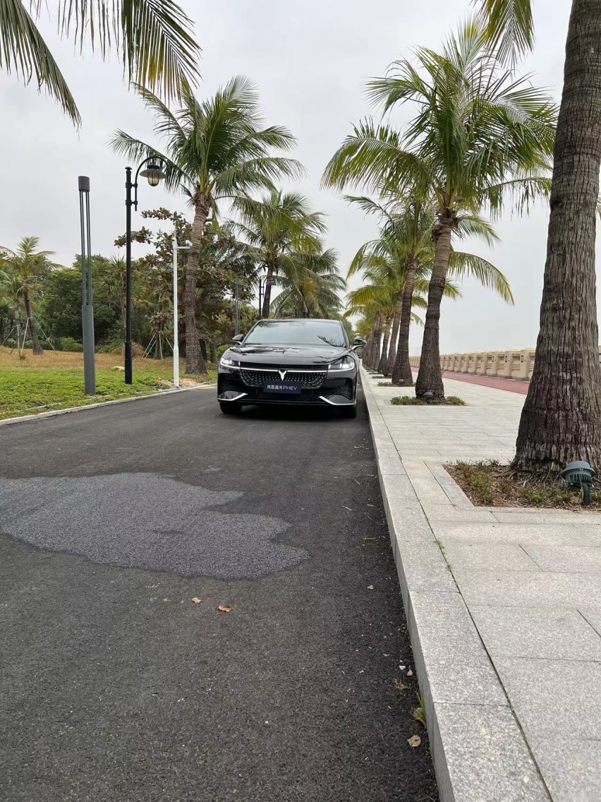试驾岚图追光PHEV：这才是优秀豪华行政轿车该有的样子