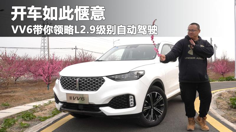 ⿪ϸ翪VV6L2.9Զʻ