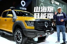 山海炮性能版震撼上市，PHEV版本搭载Hi4T