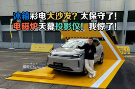 冰箱彩电大沙发太保守了！电磁炉天幕投影仪我惊了！