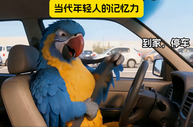 当代年轻人的记忆力现状，看看你中了几个