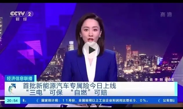 新能源专属险上线，Model Y保费涨6000元，网友：省下的油钱没了