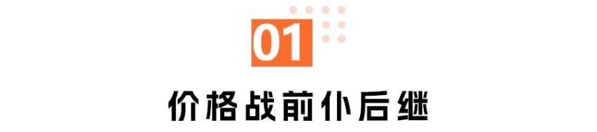 价格战，没有赢家和输家丨年终2023
