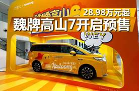 空间宽敞灵活，28.98万元起，魏牌高山7开启预售