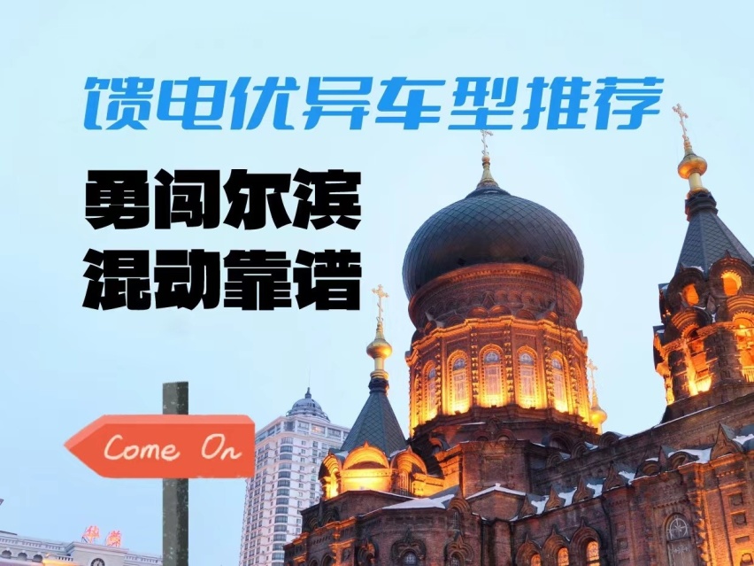 “勇闯哈尔滨”？这几款车极寒环境下 馈电表现优异