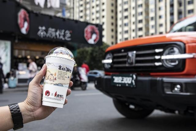 畅享秋色，潮玩不止！小姐姐和坦克300驰游江淮大地