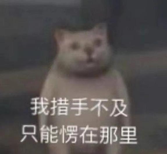 特斯拉涨完，比亚迪涨，油价飙升的同时新能源车也涨价，你买谁？