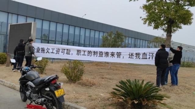 比亚迪降价是真是假？理想亏损20亿？威马员工维权意外获温暖