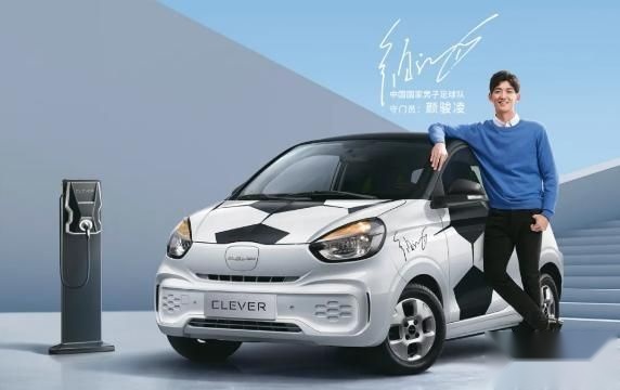 8万以内能落地！尝鲜新能源的过来看！这几款才是居家实用的好车