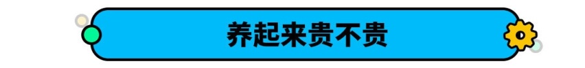 15万能买到的宝马！油耗只有5.4L 但养起来贵吗？