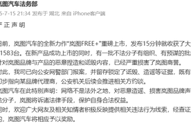 既有线索已初步指向某品牌代理商！岚图报案