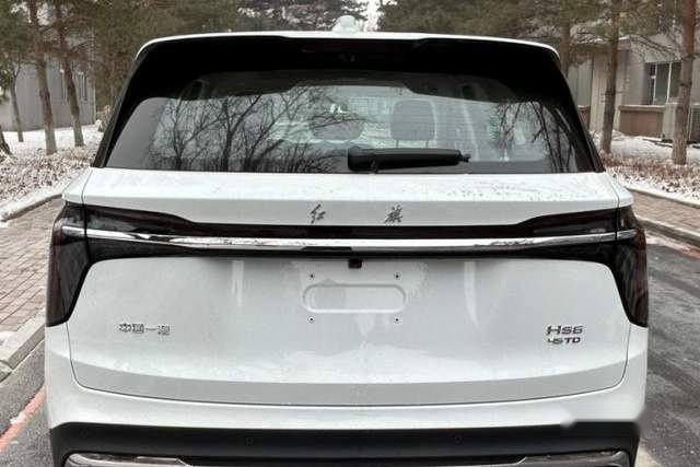 全新中大型SUV—红旗HS6申报图 外观庄严大气