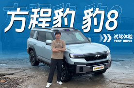 风雨无阻！豹8智能辅助驾驶亲身实测