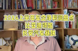 2024上半年净利润盘点，比亚迪领跑，长安汽车同比暴跌63%