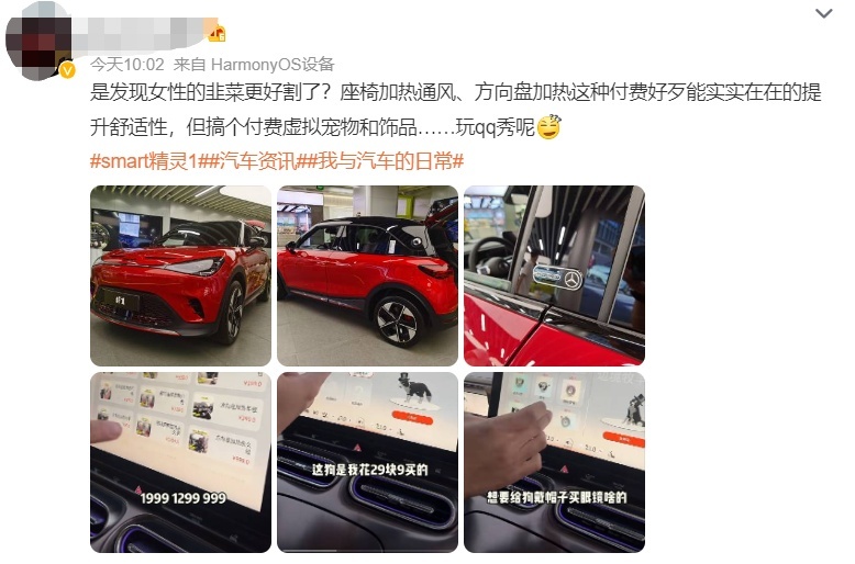 开通座椅加热要1299元！车辆功能付费订阅也开始泛滥了？