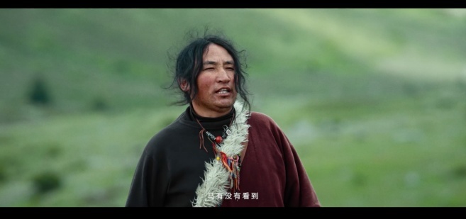 图片7.png