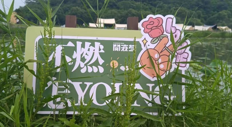 不定义，自放光，2023 更+凡尔赛