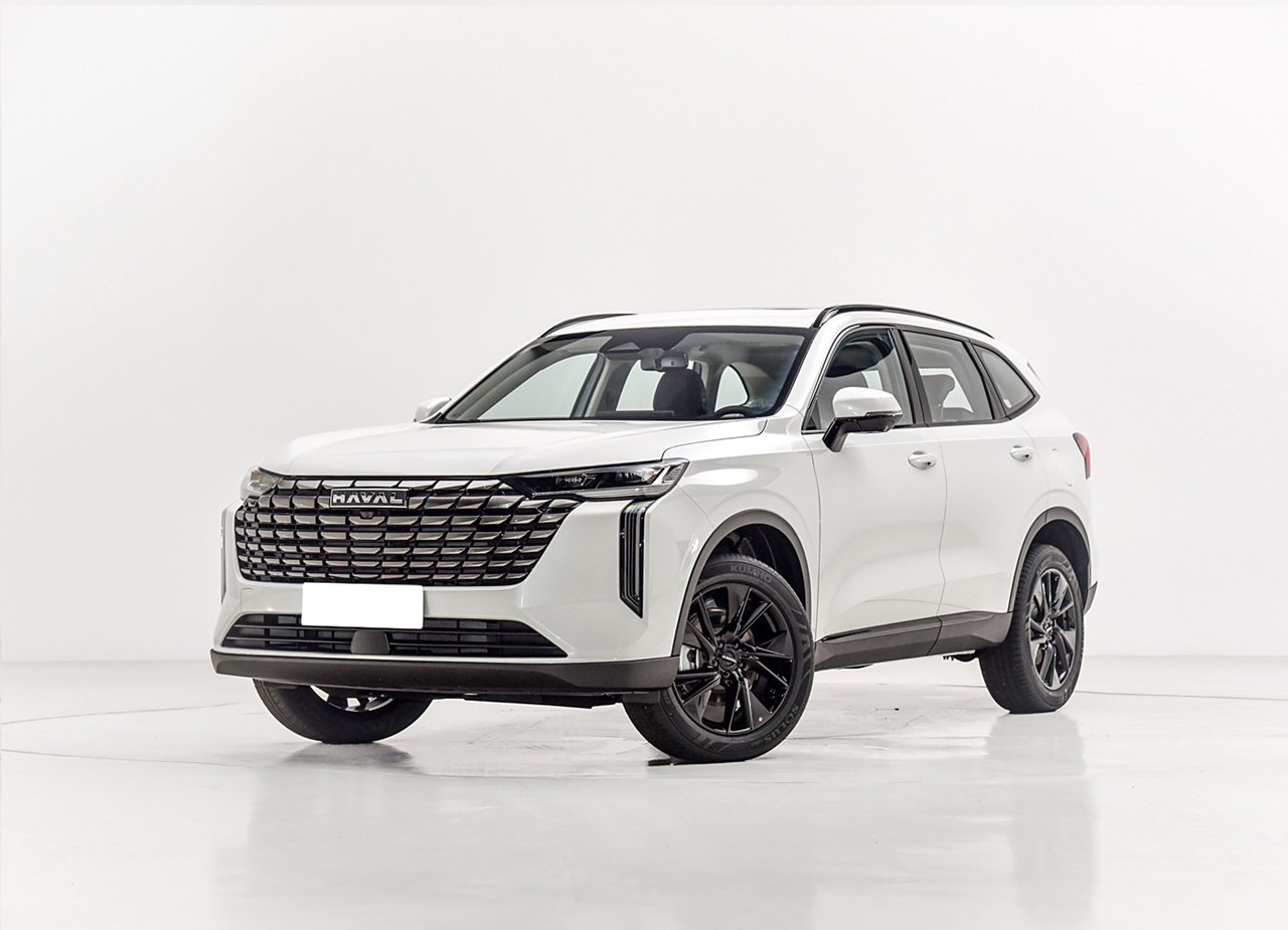 �����ć��aSUV�N�ڣ�����ԼҵĴ󹷳�Խ���D���Ƿ�ɹ���