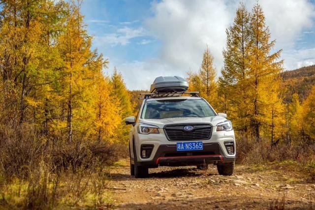 可能是最安全的一台SUV 森林人12000km长测报告