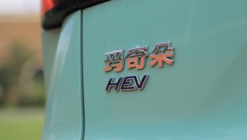 纯电大行其道，混动将扮演什么角色？试驾WEY品牌 玛奇朵