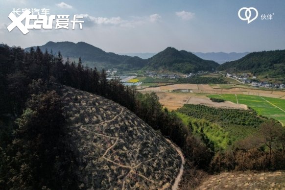 伙伴助力 爱有新益！长安汽车“共建青山计划”起航