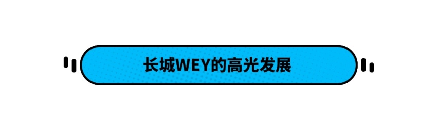 国产高端品牌的逆袭 用销量来证明自己