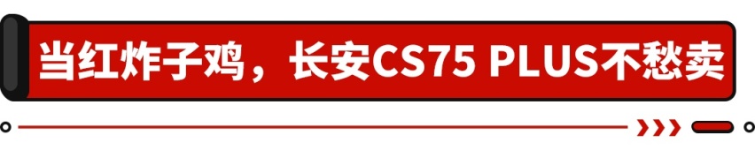 订车等1个月，一个店能卖100多台！这台国产SUV都抢着买！
