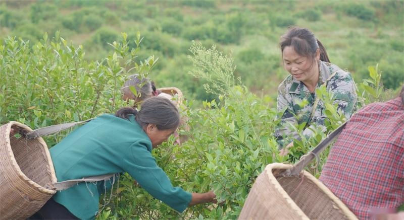 为黯淡无光注入希望！“点亮计划”在岁月流转中焕发乡村新生