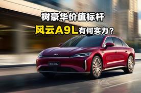 20万买到50万级豪华感，风云A9L有何实力？
