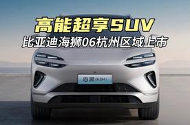 高能超享SUV 比亚迪海狮06杭州区域上市