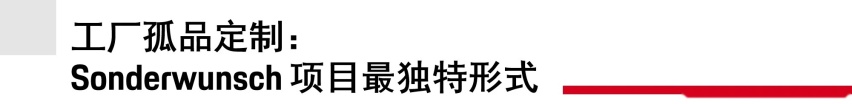 Sonderwunsch 团队倾力打造工厂孤品定制 911