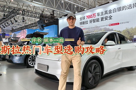 特斯拉热门车型选购攻略，凭什么卖得好？买它划算吗