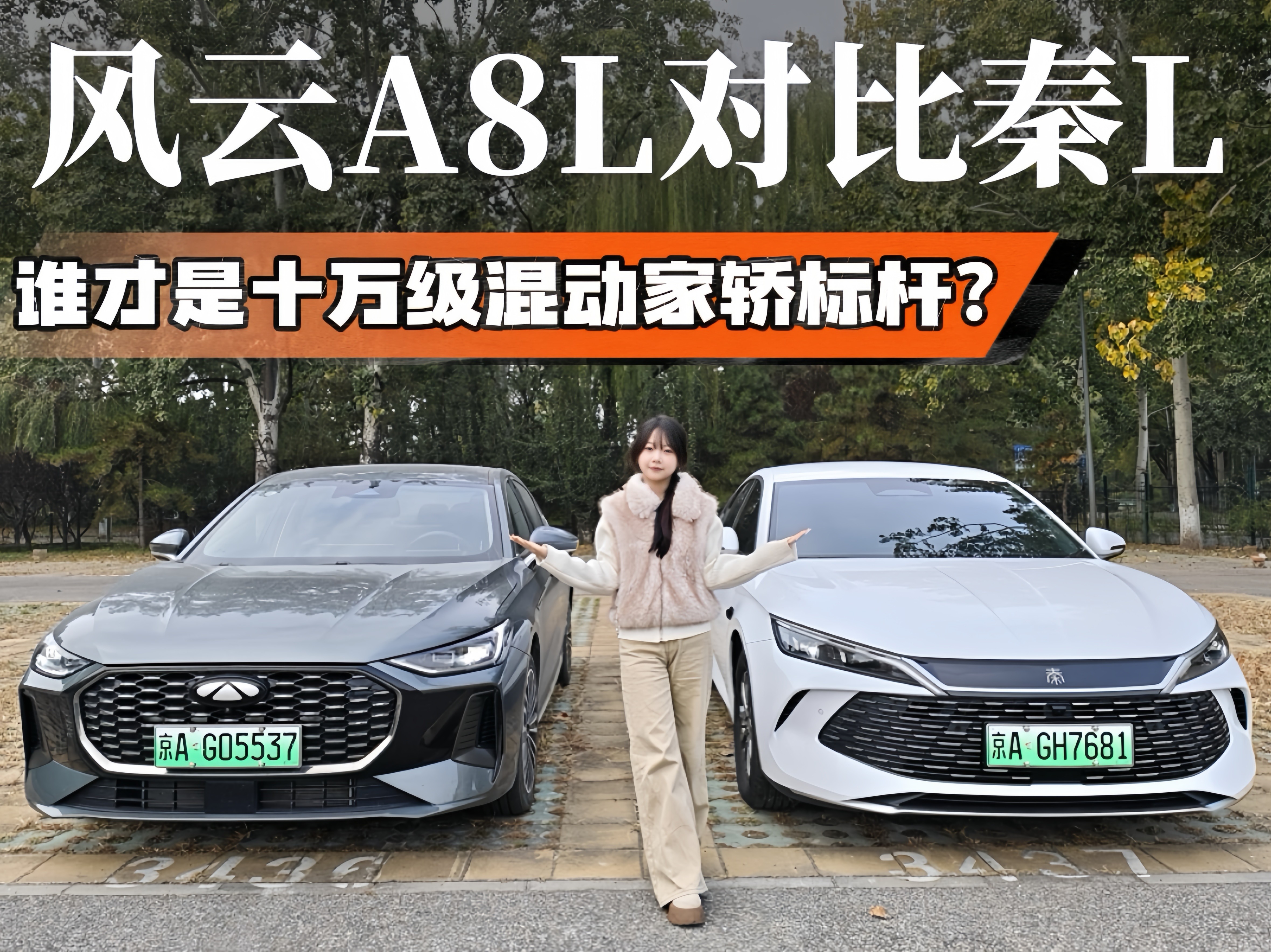 L(fng)A8LcLQlʮfӼI˗U