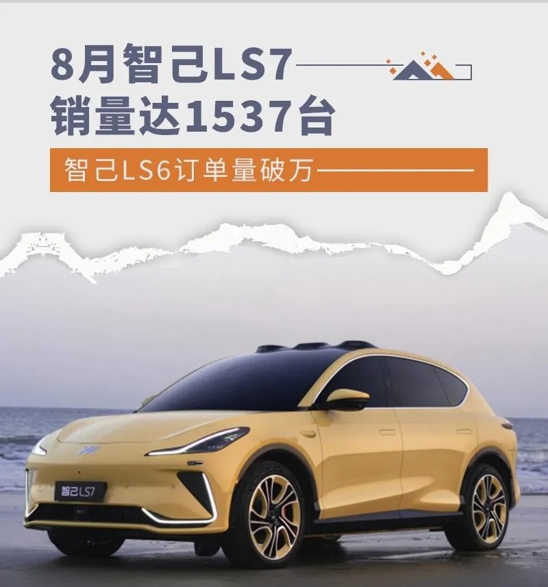 8月新能源销量：金九银十前的平静？