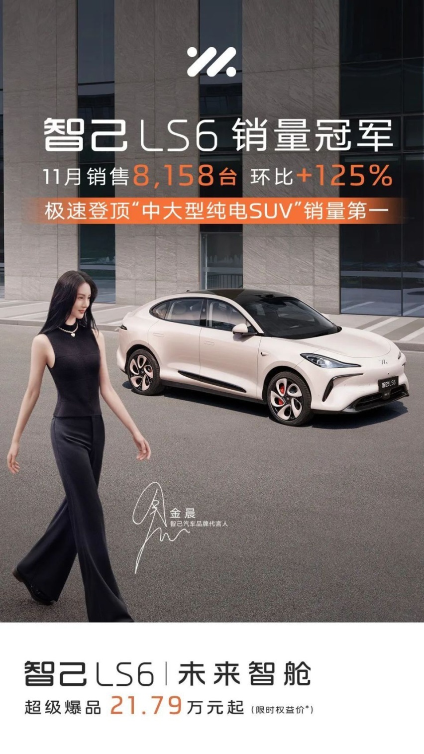 11月新能源汽车销量榜：理想提前完成年销30万，吉利系抬头